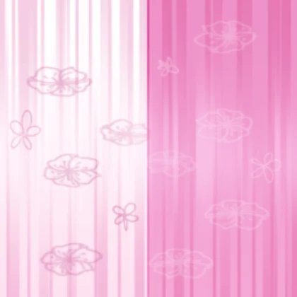 Miss Lady Rose | Hair texture