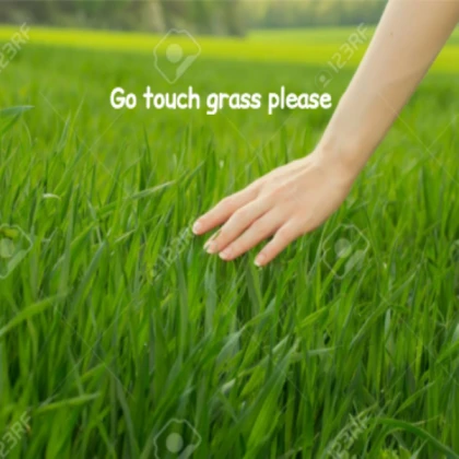 Touch grass please