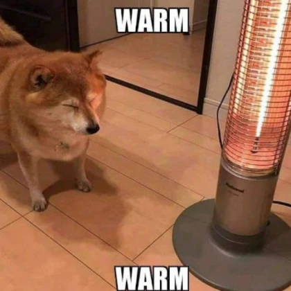 Warm
