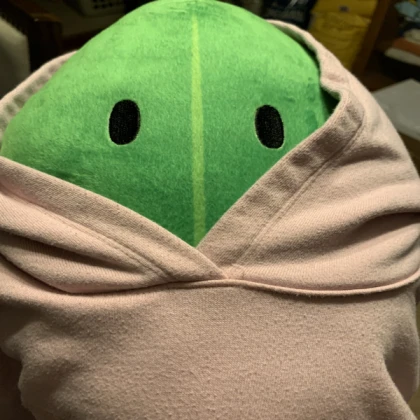 Leafy Plush in hoodie