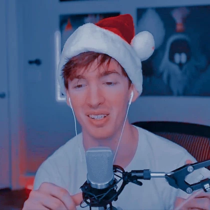 Flamingo Albert christmas picture