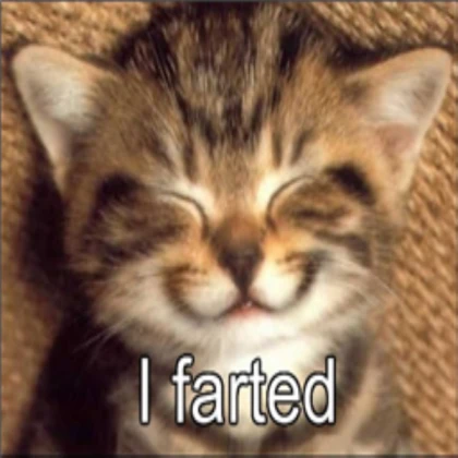 lol funny cat