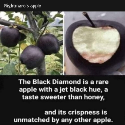 nightmares apple??!!