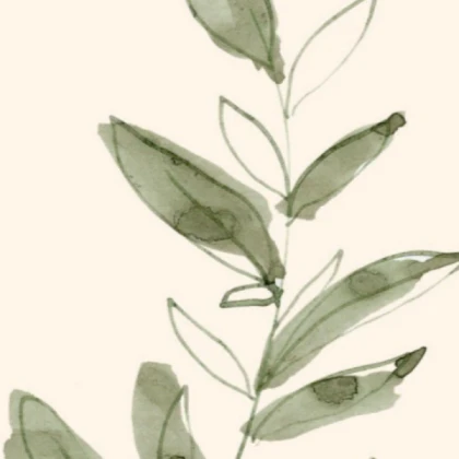 sage green plant