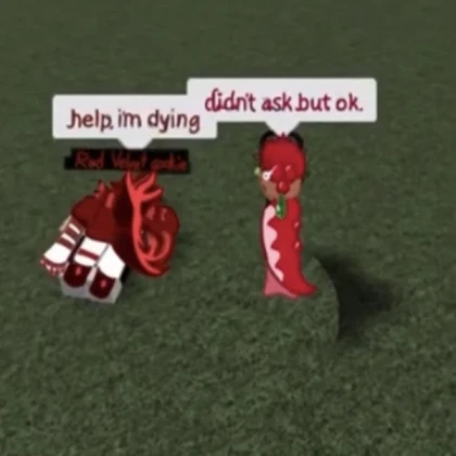 pomegranate cookie and red velvet :)