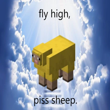 i miss you my beloved sheep