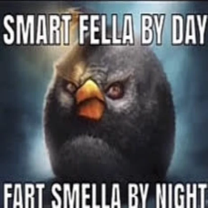 fart smella