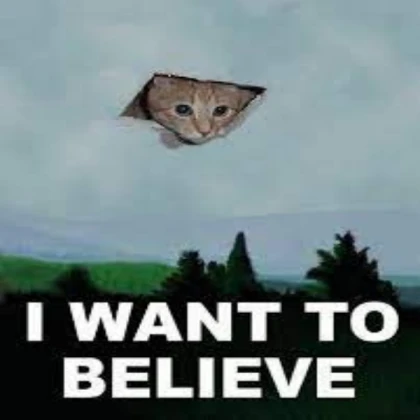 I Want To Believe In Ceiling Cat