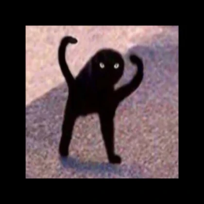 Cat cat cat cat Roblox Decal