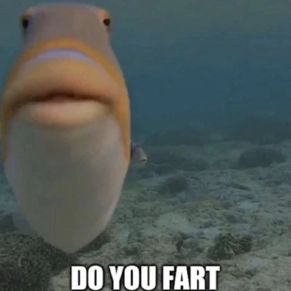 do u fart