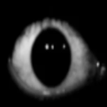 cool eyeball (I made this!)