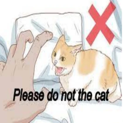 Please do not the cat