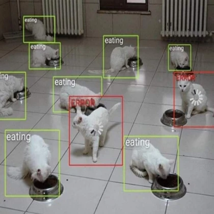 Weirdcore Cat Eating