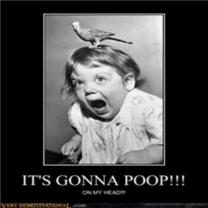 poo *comment and fave!*