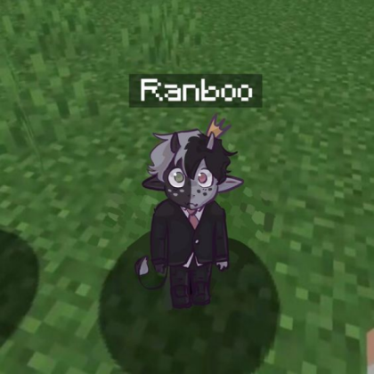 tiny ranboo