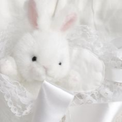 soft white bunny