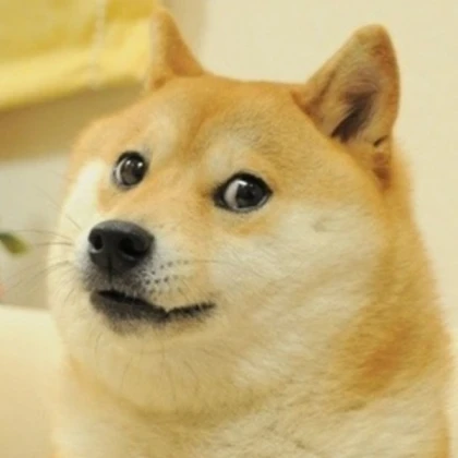 Doge on top! Roblox Decal