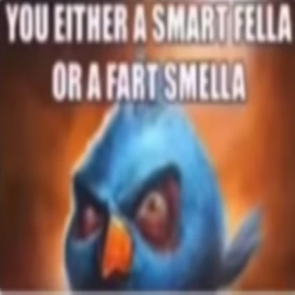 You either a smart fella