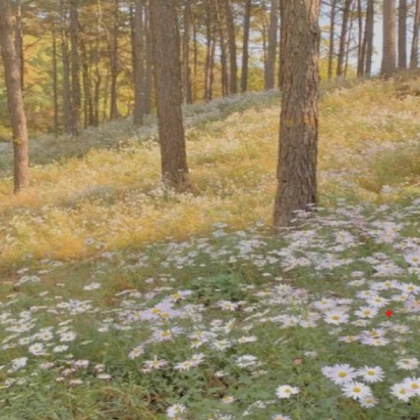 cottagecore aesthetic woods flower field