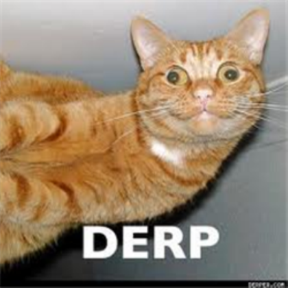 Derp Cat!!! [Please Fave] 120+ Takes :D