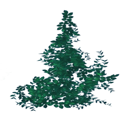 ASSETS FOR VISIONARY - Overgrown Flowers