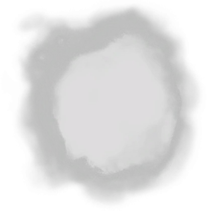 ASSETS FOR VISIONARY - Puddle Change Transparency