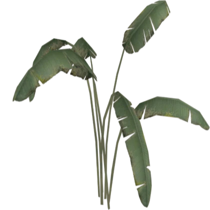 Roblox decal plant - banana leaf