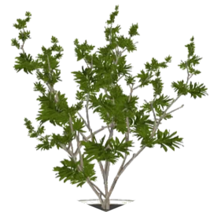 Roblox decal plant - house