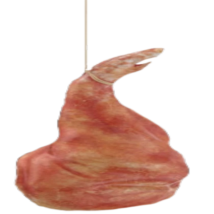 Hanging Meat stock image (crop)