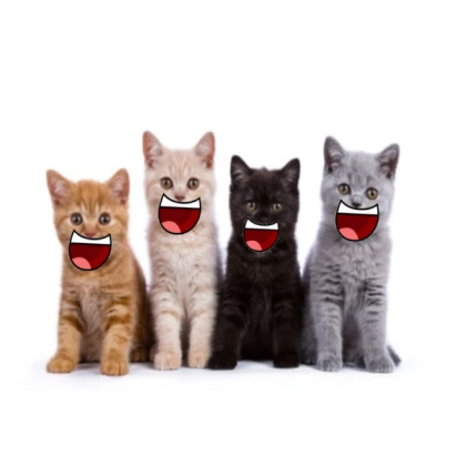 Happy cats