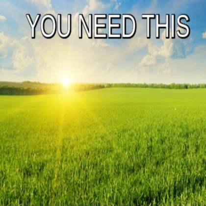 You Need To Touch Grass