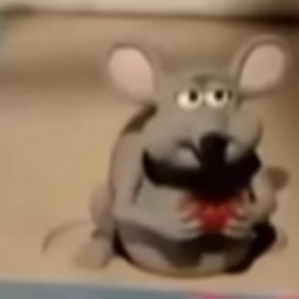 rat eating chocolate