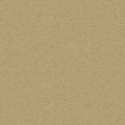 backrooms floor/carpet texture