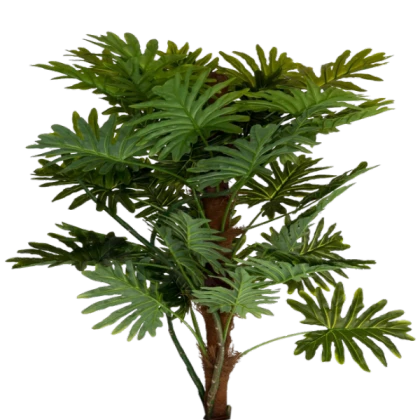 Fern with branch png
